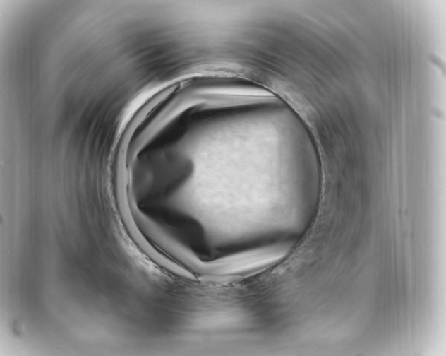 X0000095540960200712281541