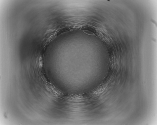 X0000095540962200712281540