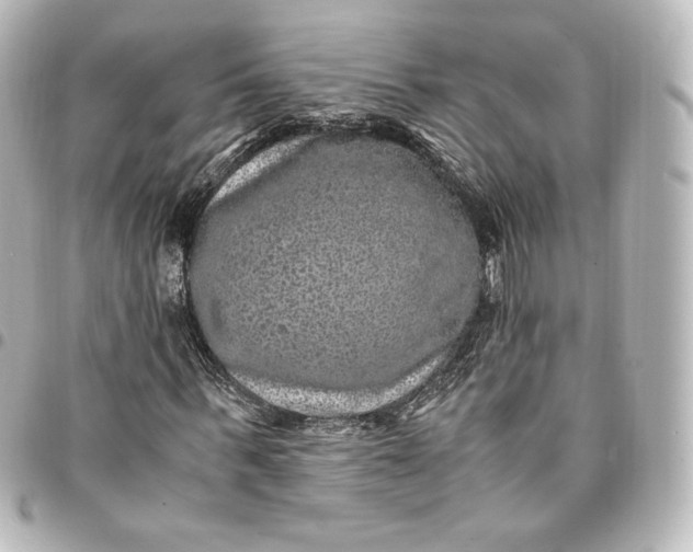 X0000095540963200712281540