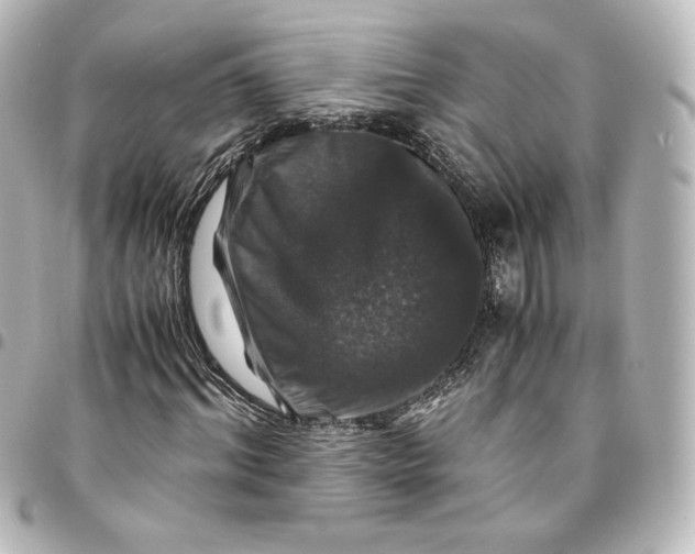 X0000095540964200712281540