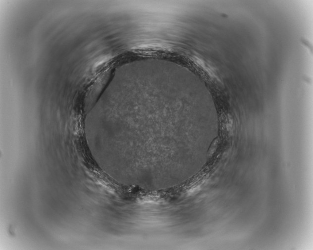 X0000095540965200712281540