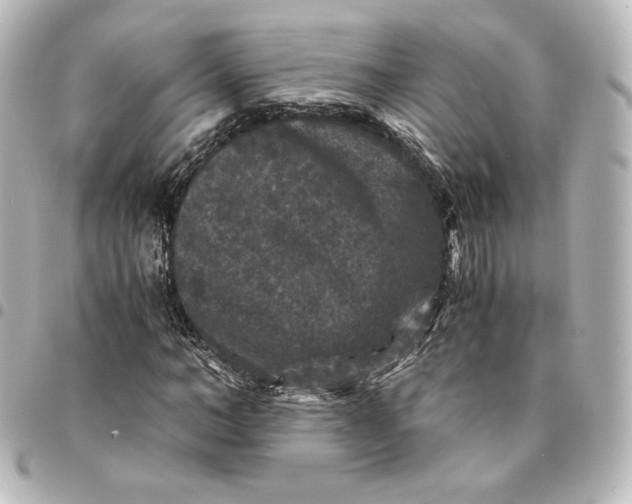 X0000095540966200712281540