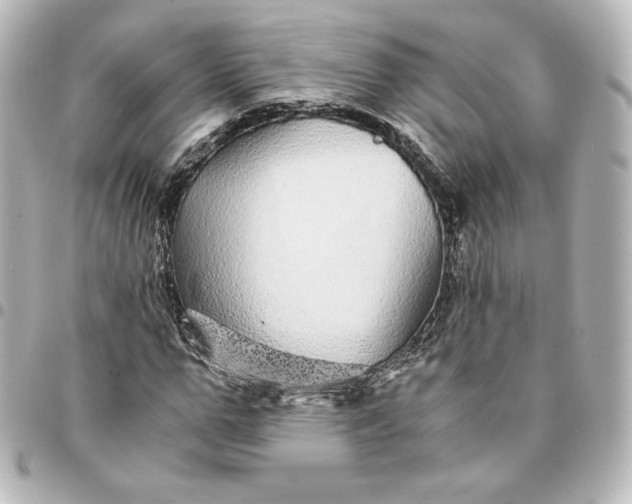 X0000095540967200712281540