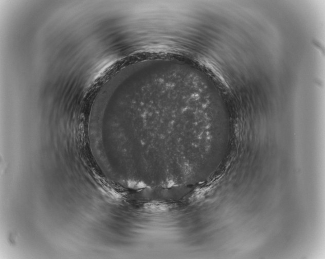 X0000095540968200712281540