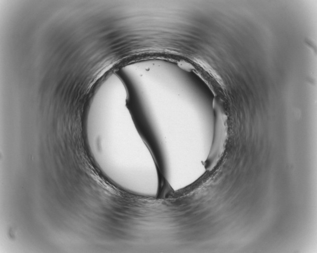 X0000095540969200712281540