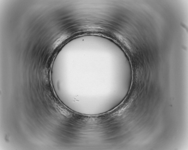 X0000095540970200712281540