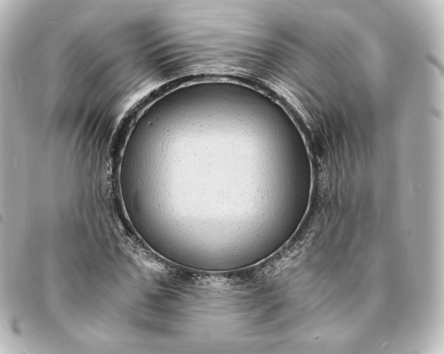 X0000095540971200712281540