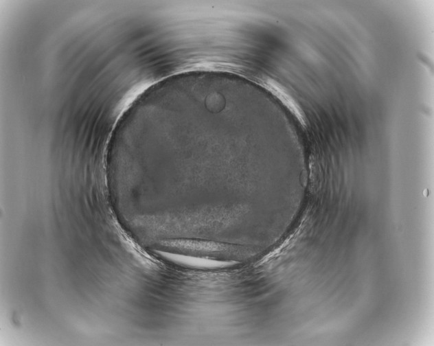 X0000095540972200712281540