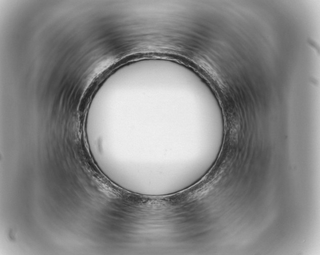 X0000095540974200712281540