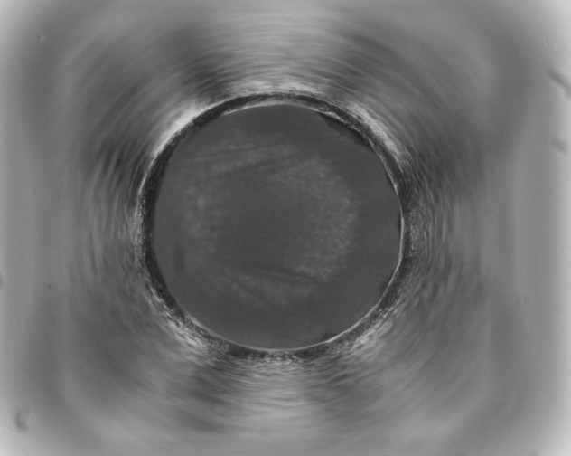 X0000095540975200712281540