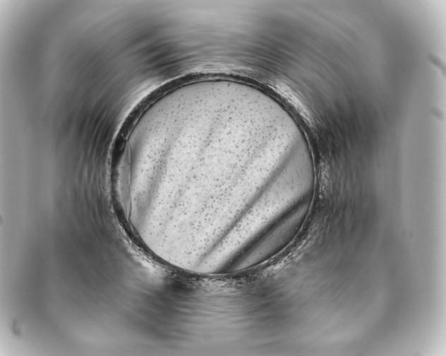 X0000095540976200712281540