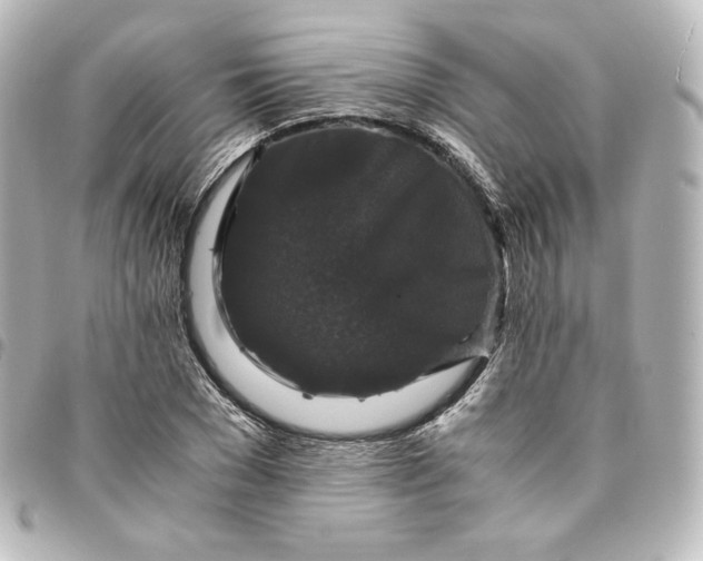 X0000095540977200712281540