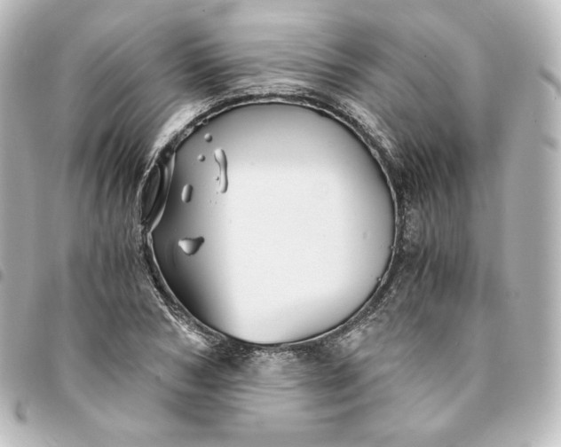 X0000095540978200712281540