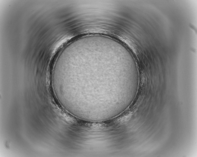 X0000095540979200712281540