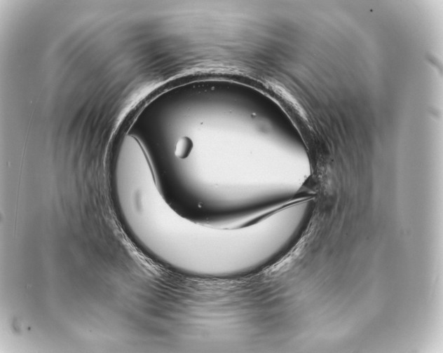 X0000095540981200712281540