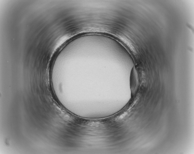 X0000095540982200712281540