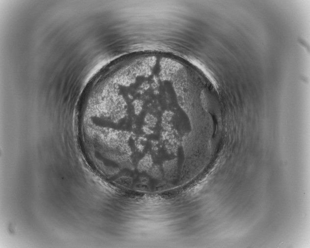 X0000095540983200712281540