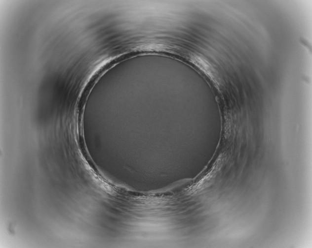 X0000095540984200712281540