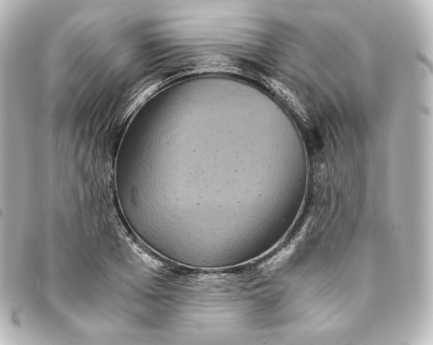 X0000095540985200712281540