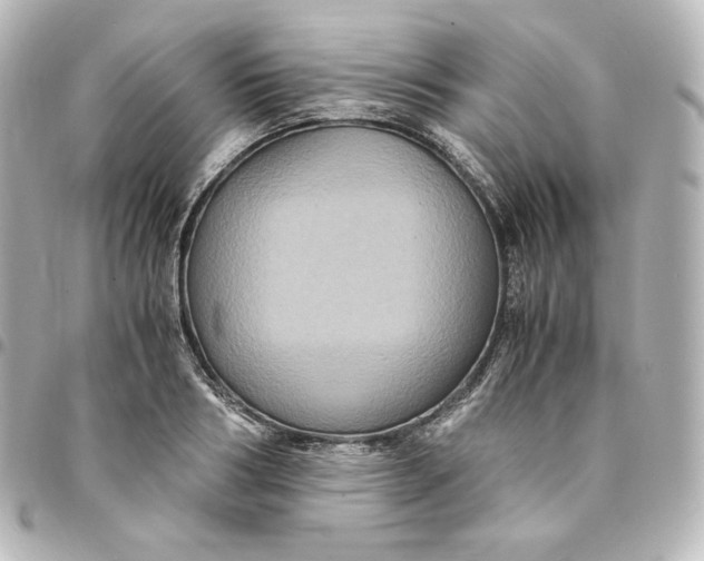 X0000095540986200712281540