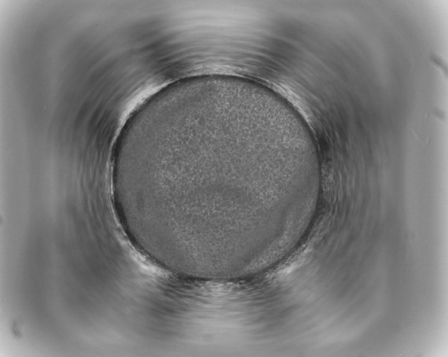 X0000095540987200712281540