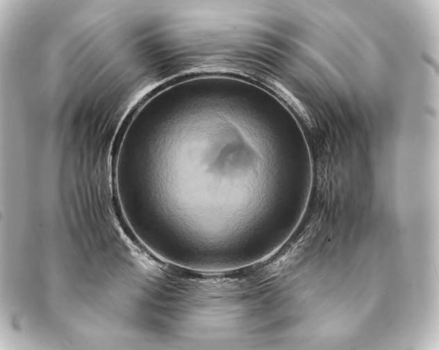 X0000095540988200712281540