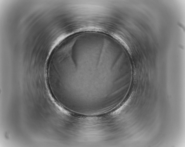 X0000095540989200712281540