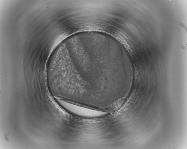 X0000095540990200712281540