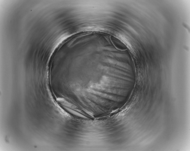 X0000095540992200712281540