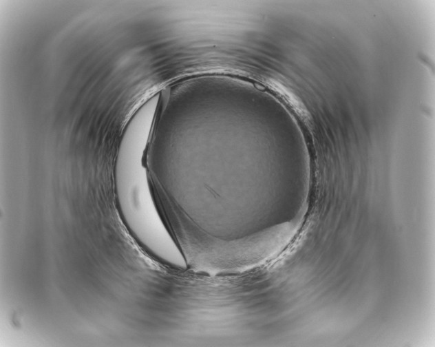 X0000095540993200712281540