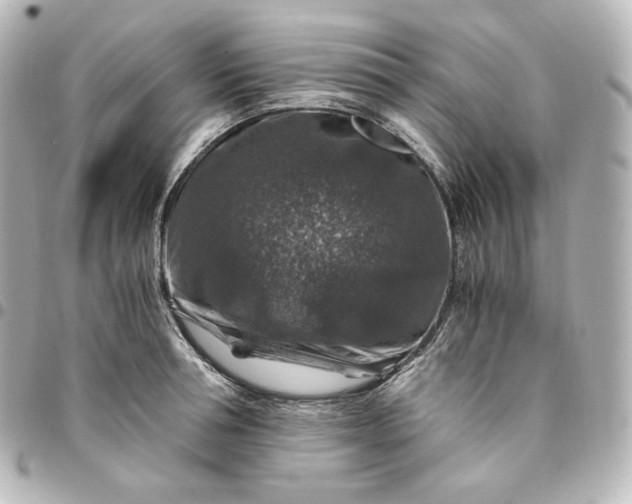 X0000095540994200712281540