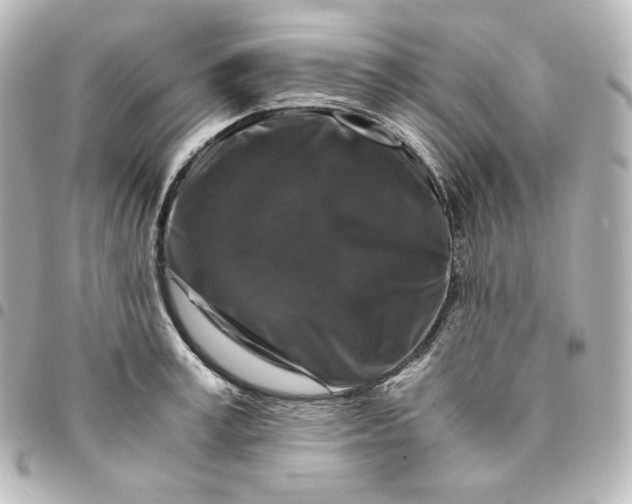 X0000095540995200712281540