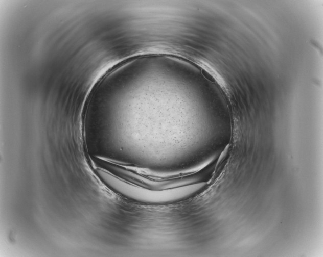 X0000095540996200712281540