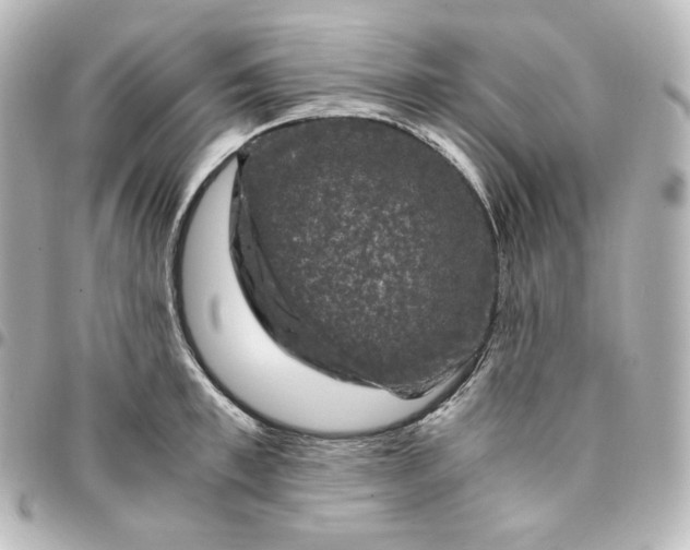 X0000095540997200712281540