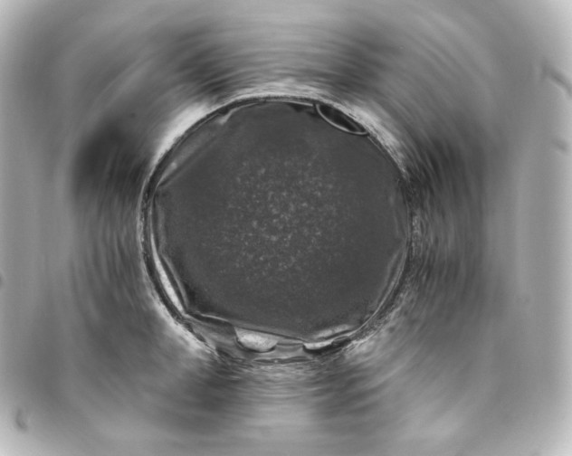 X0000095540998200712281540