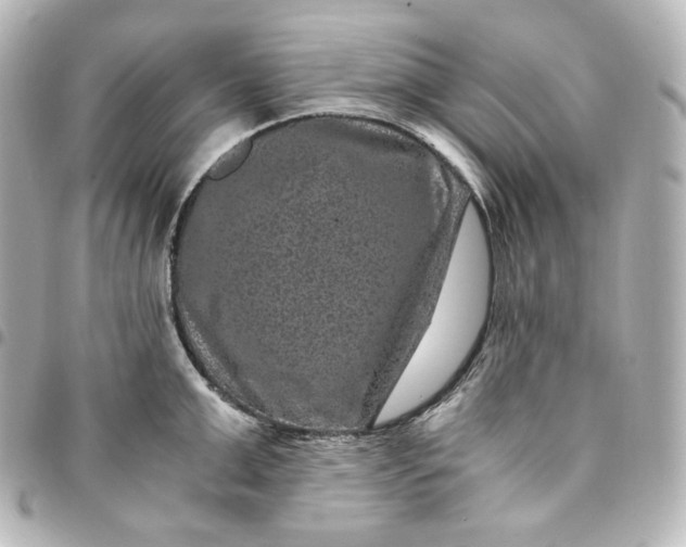 X0000095540999200712281540