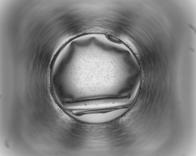 X0000095541000200712281540