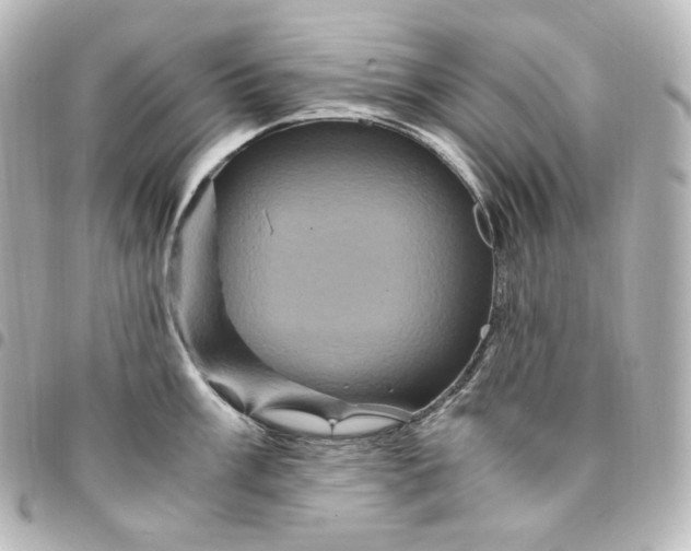 X0000095541003200712281540