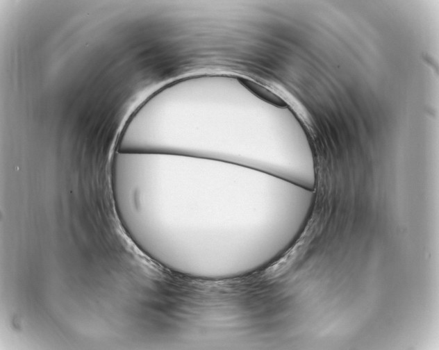 X0000095541004200712281540