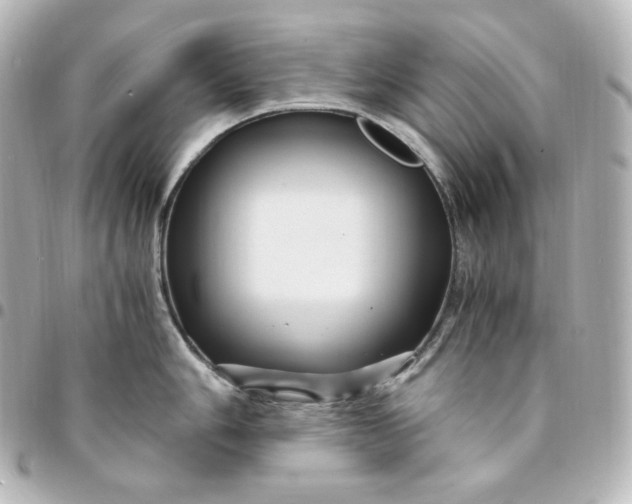 X0000095541006200712281540