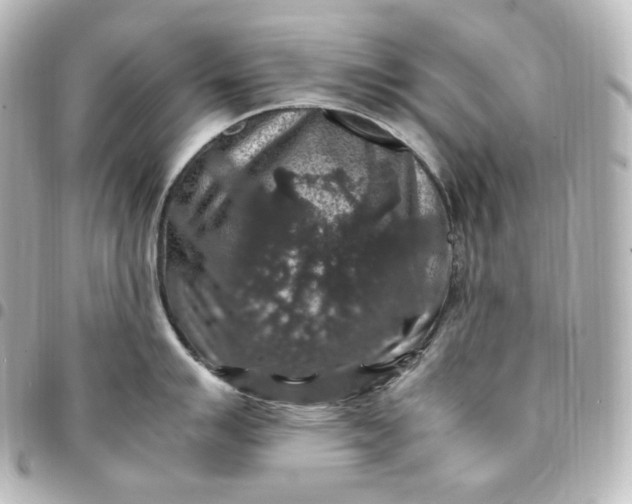 X0000095541007200712281540