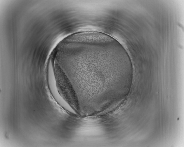 X0000095541008200712281540