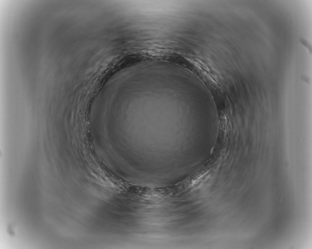 X0000095541009200712281539