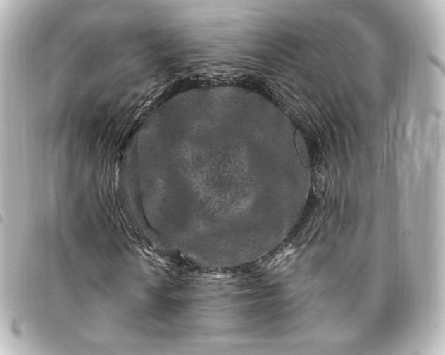 X0000095541010200712281539