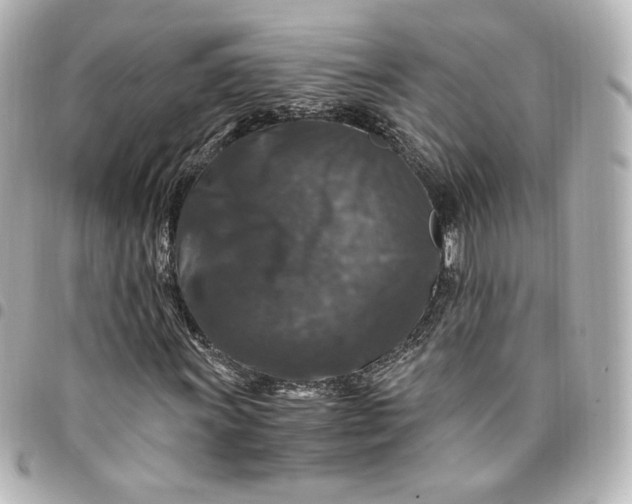 X0000095541011200712281539