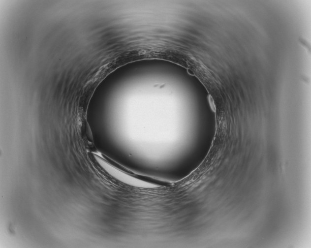 X0000095541012200712281539