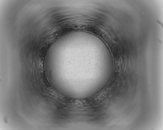 X0000095541013200712281539