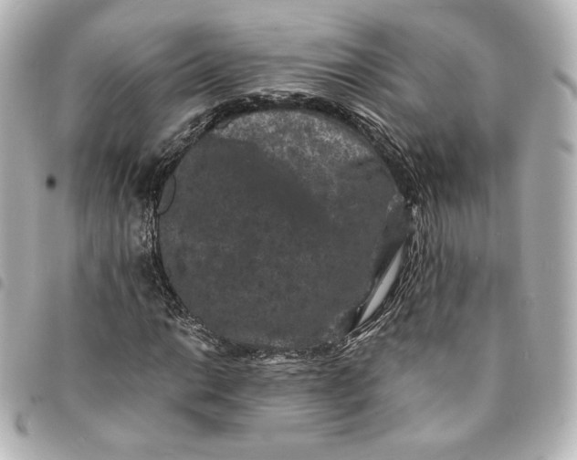 X0000095541014200712281539