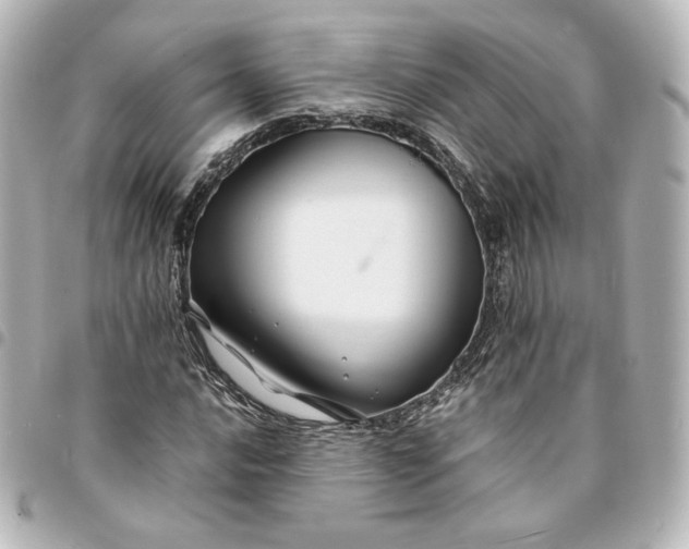 X0000095541016200712281539