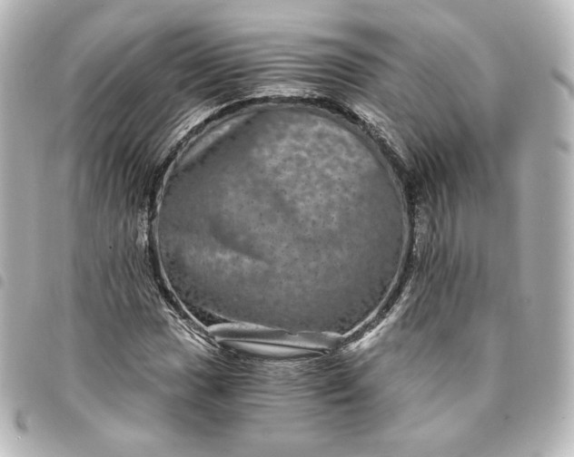 X0000095541017200712281539